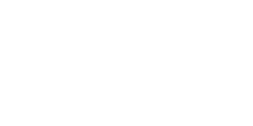 ISDN Logo (White)